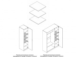 Комплект полок шкафа 1 дверного или 3 дверного в Полевском - polevskoj.magazin-mebel74.ru | фото