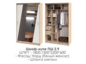 шкаф-купе ПШ-2.9 1500 Норд Белый жемчуг 1500 в Полевском - polevskoj.magazin-mebel74.ru | фото