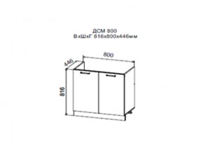 Шкаф нижний ДСМ800 под мойку в Полевском - polevskoj.magazin-mebel74.ru | фото