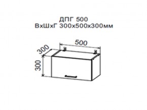 Шкаф верхний ДПГ500 горизонтальный в Полевском - polevskoj.magazin-mebel74.ru | фото