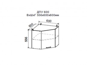 Шкаф верхний ДПУ600 угловой в Полевском - polevskoj.magazin-mebel74.ru | фото