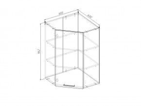 ВУ9 Модуль верхний Угловой МВУ9 в Полевском - polevskoj.magazin-mebel74.ru | фото